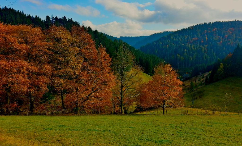 Outdoor & Relax Blackforest Neukirch  Exteriér fotografie